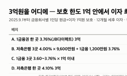 Featured image of post 예금자보호 한도 1억 시행 1년, 3억을 “세 곳에 4.0%” 넣으면 이자 얼마 차이(8/29)