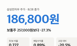 Featured image of post 삼성전자우 주가 “186,800원, 보통주보다 27% 싸다” 1년 비율 표와 배당 0.89%의 뜻